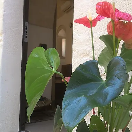 B&B Dimora Di Chiara And